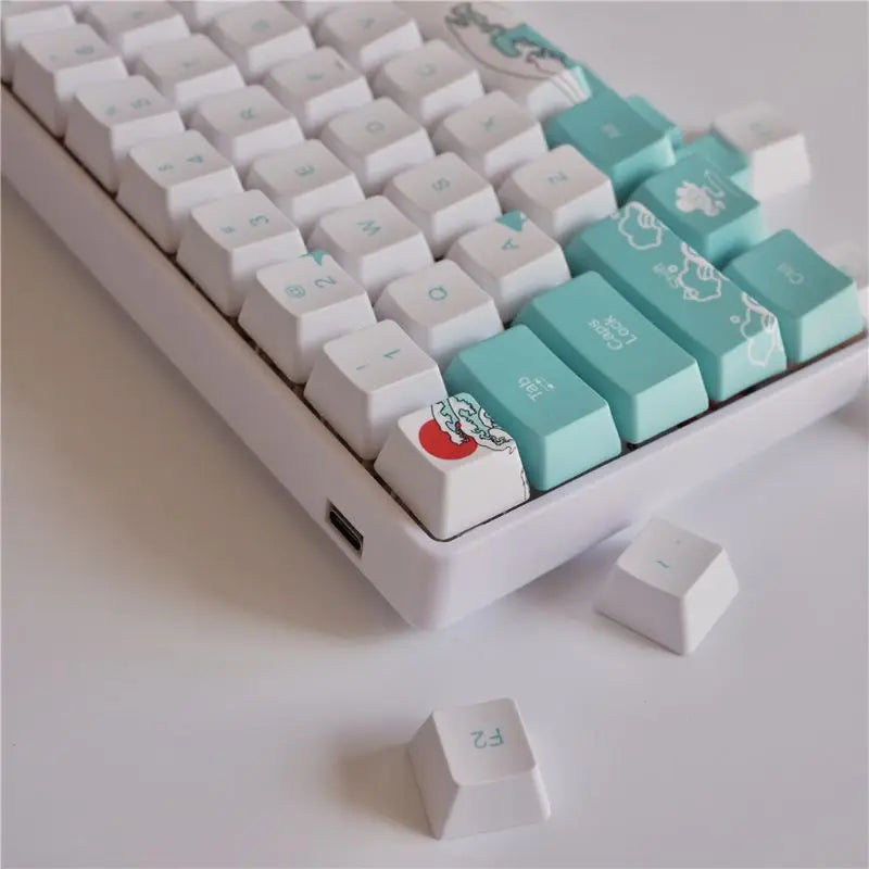 4 Keys Esc Entre 6.25u Spacebar Replacement Keycap  PBT Five Sides Dye-Subbed Oem Profile Key cap for Mechanical Keyboard