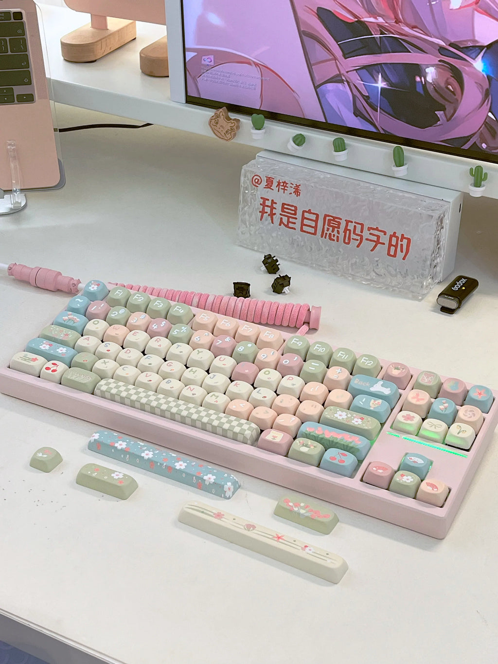 MOA Keycaps Cute Alice Keycaps Cute Keycaps 141 Keys PBT Sublimation Mechanical Keyboard Cap 2.25 U 2.75U